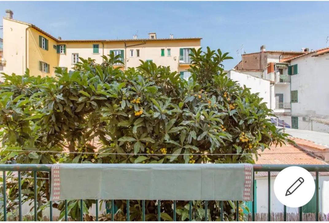 Rooms In Chiassetto 比萨 外观 照片